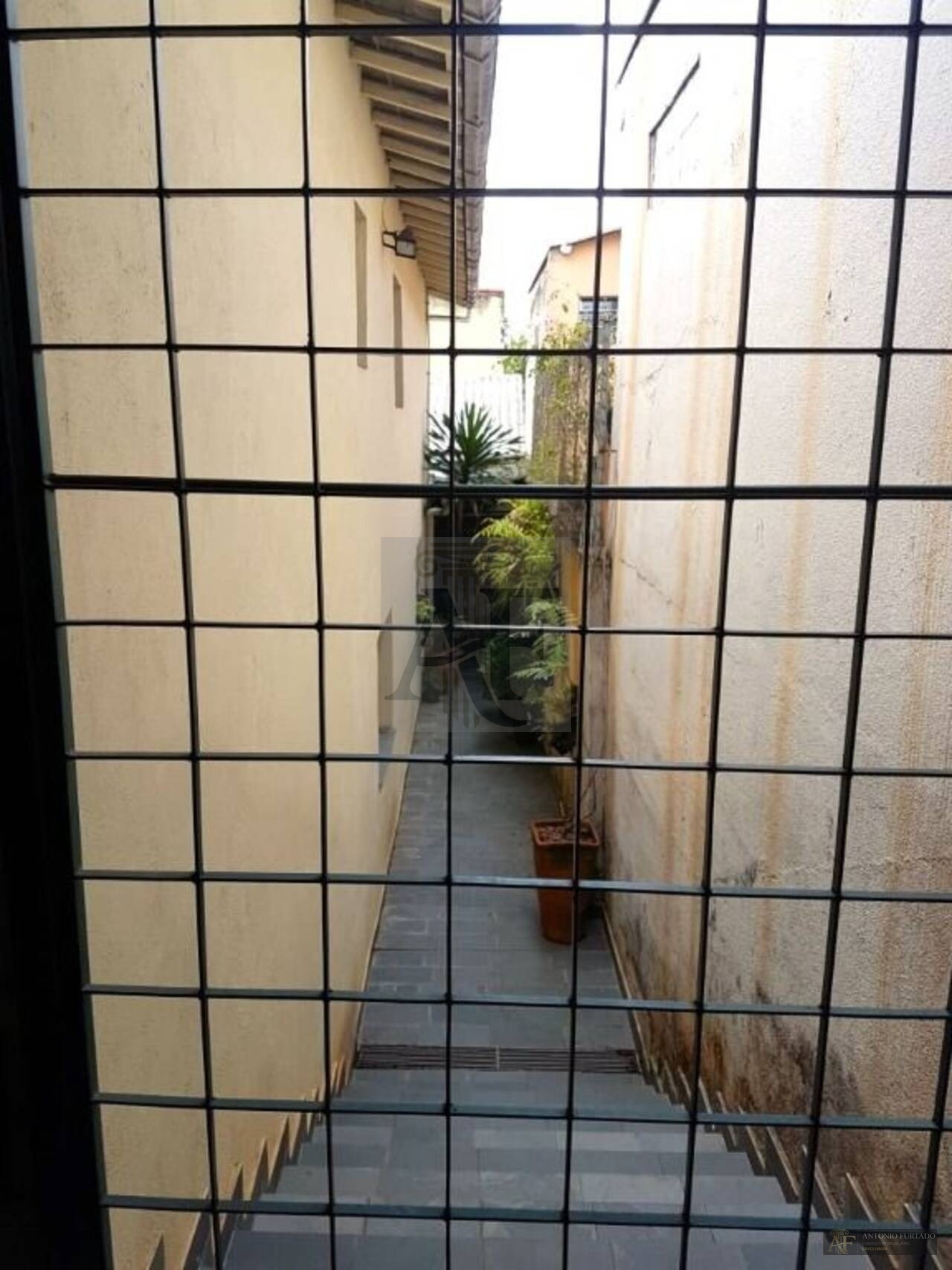 Imagem 5