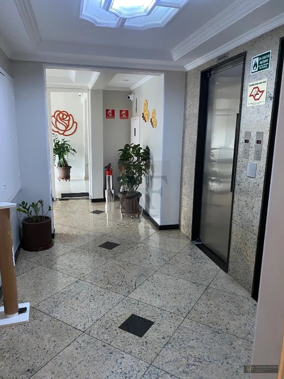 Imagem 11
