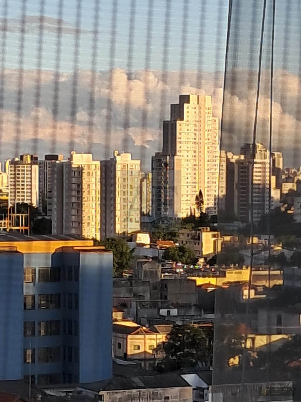 Imagem 21