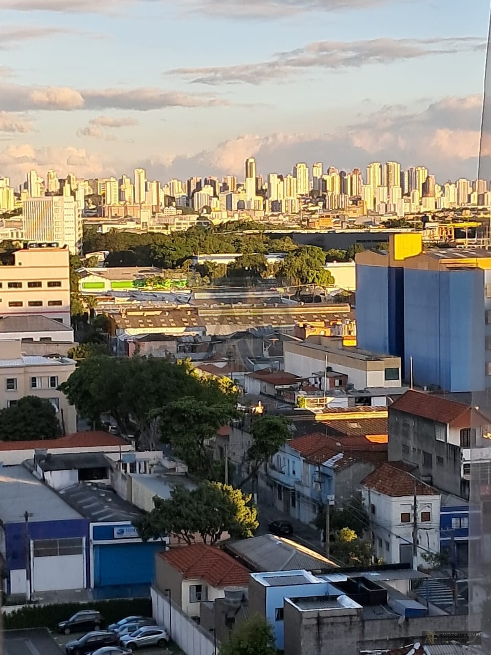 Imagem 22