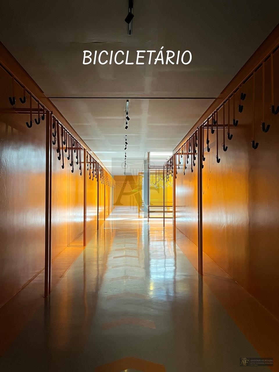 Imagem 16