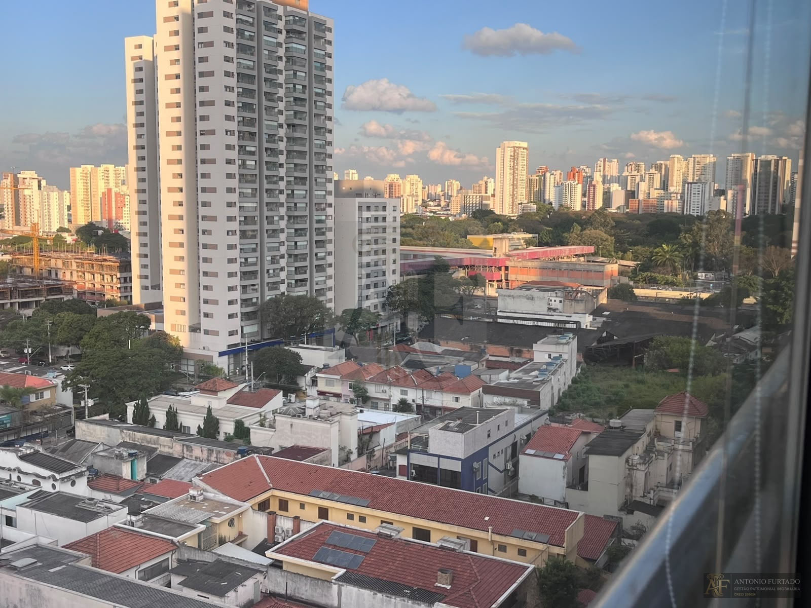Imagem 5