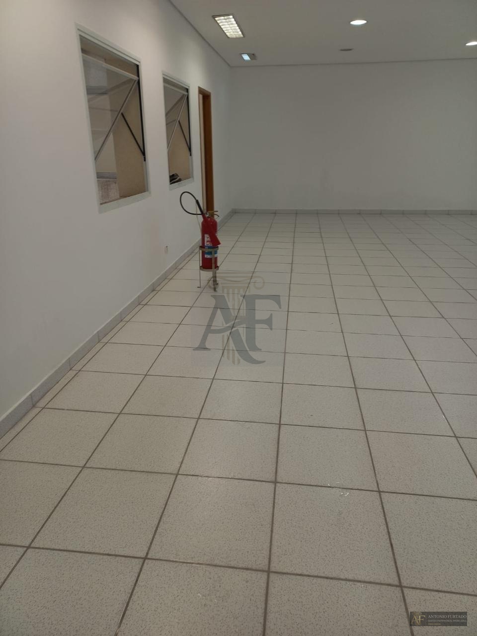 Imagem 10