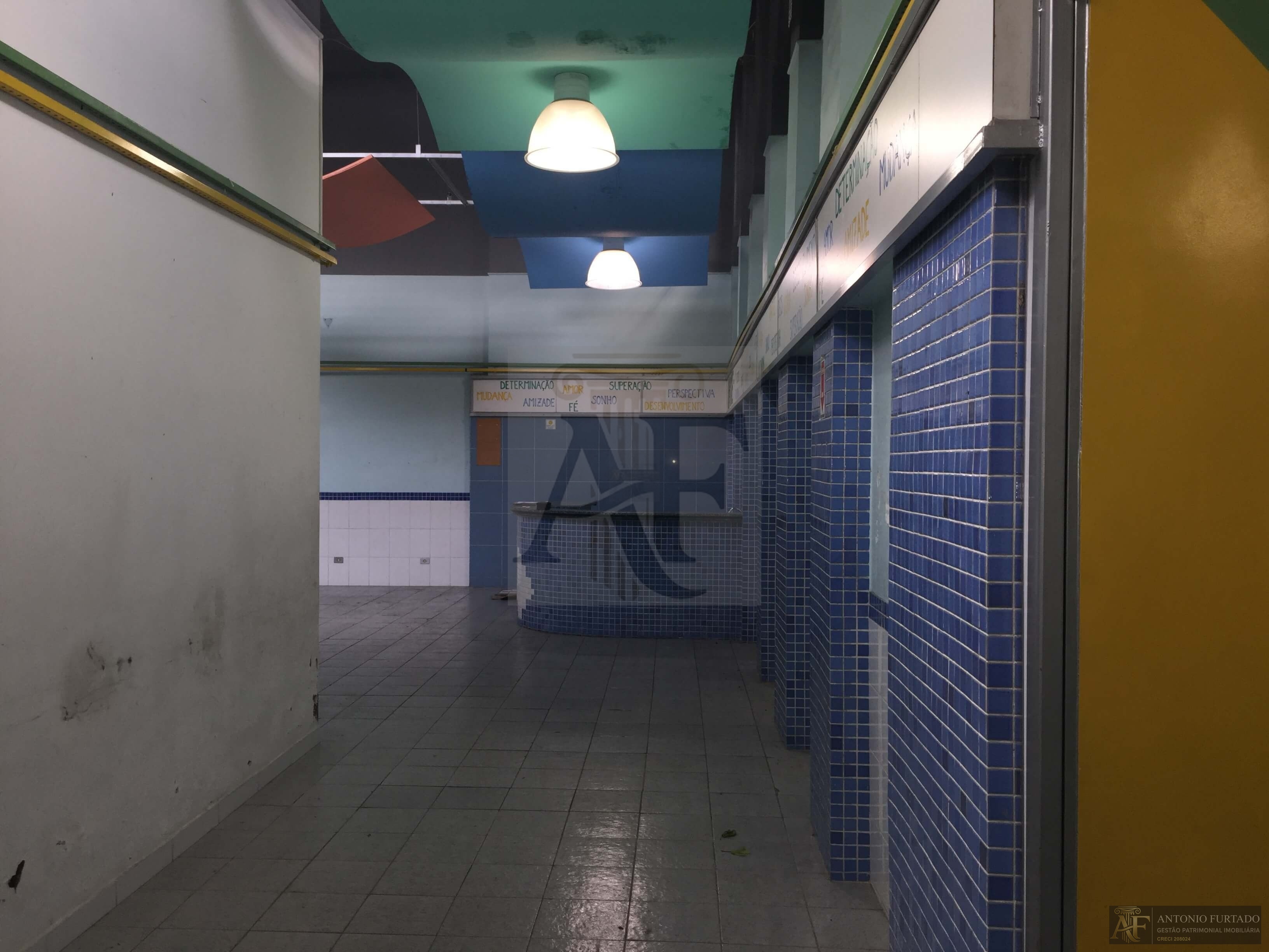 Imagem 6