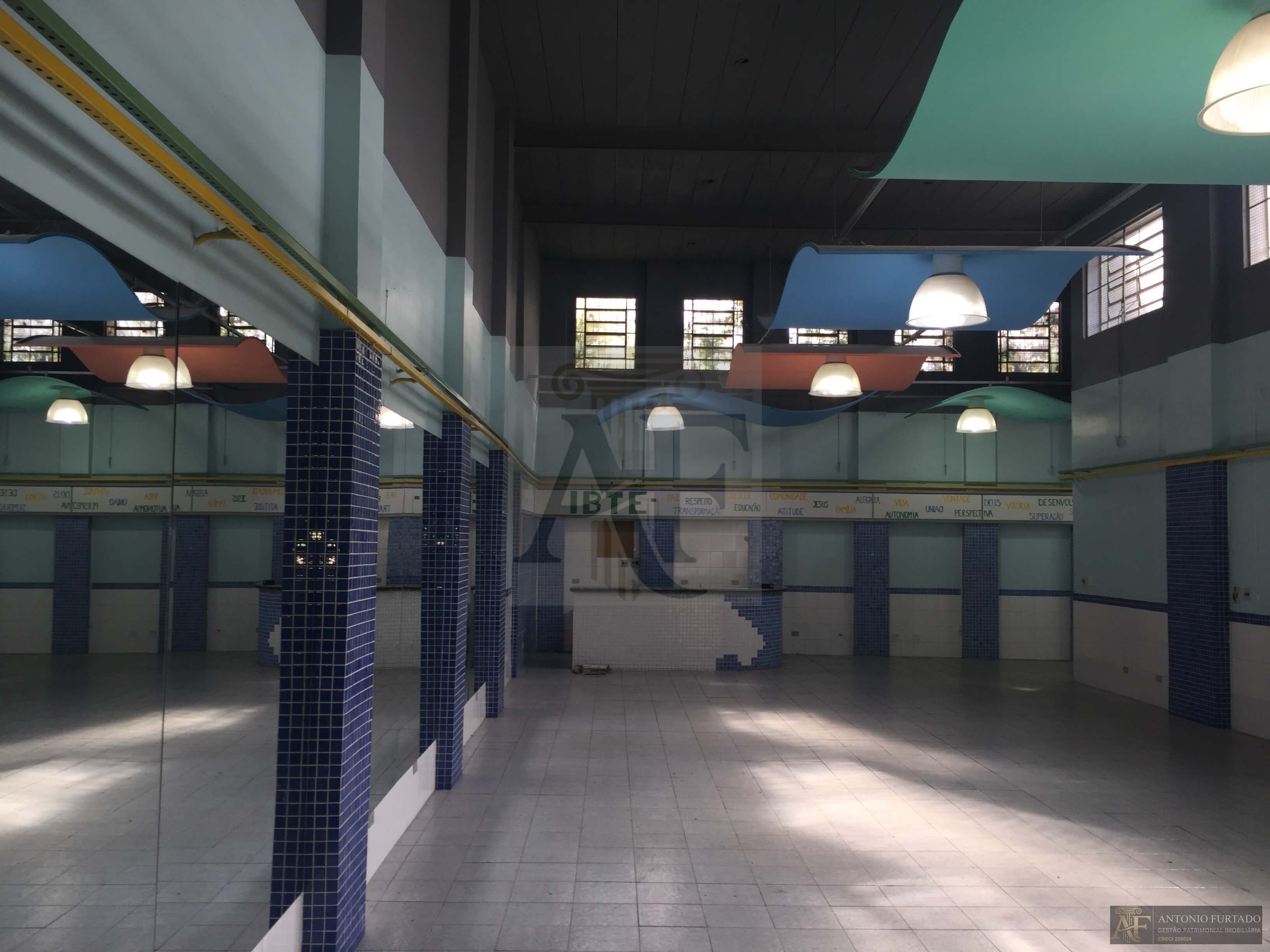 Imagem 12
