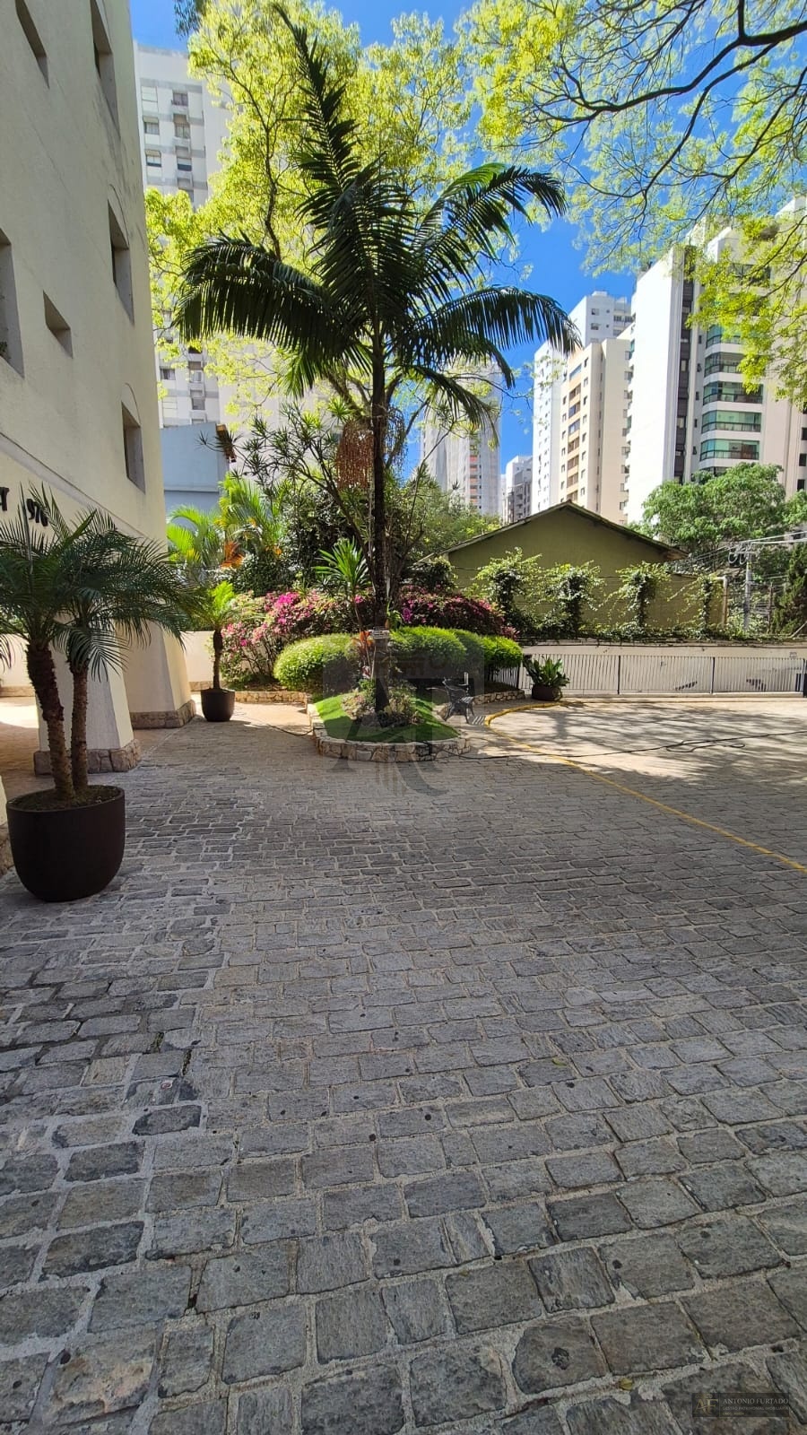 Imagem 25