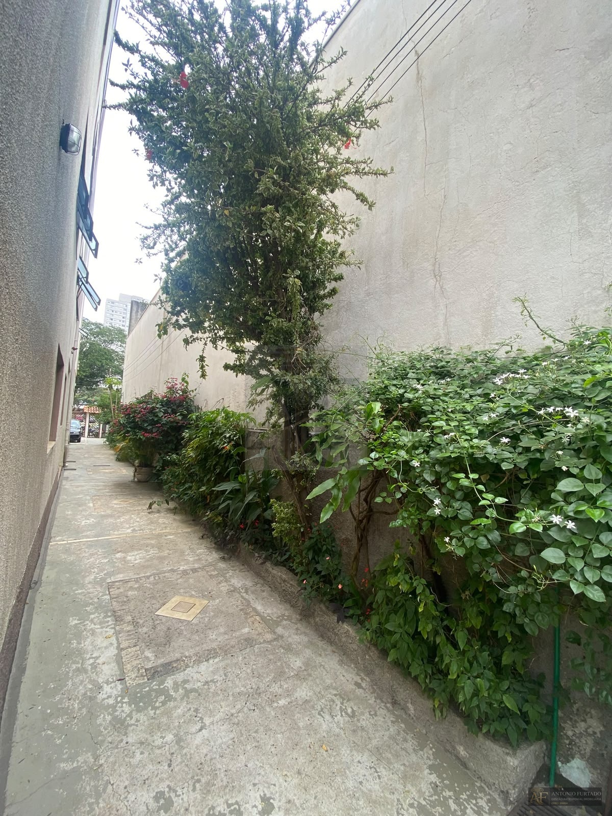 Imagem 14